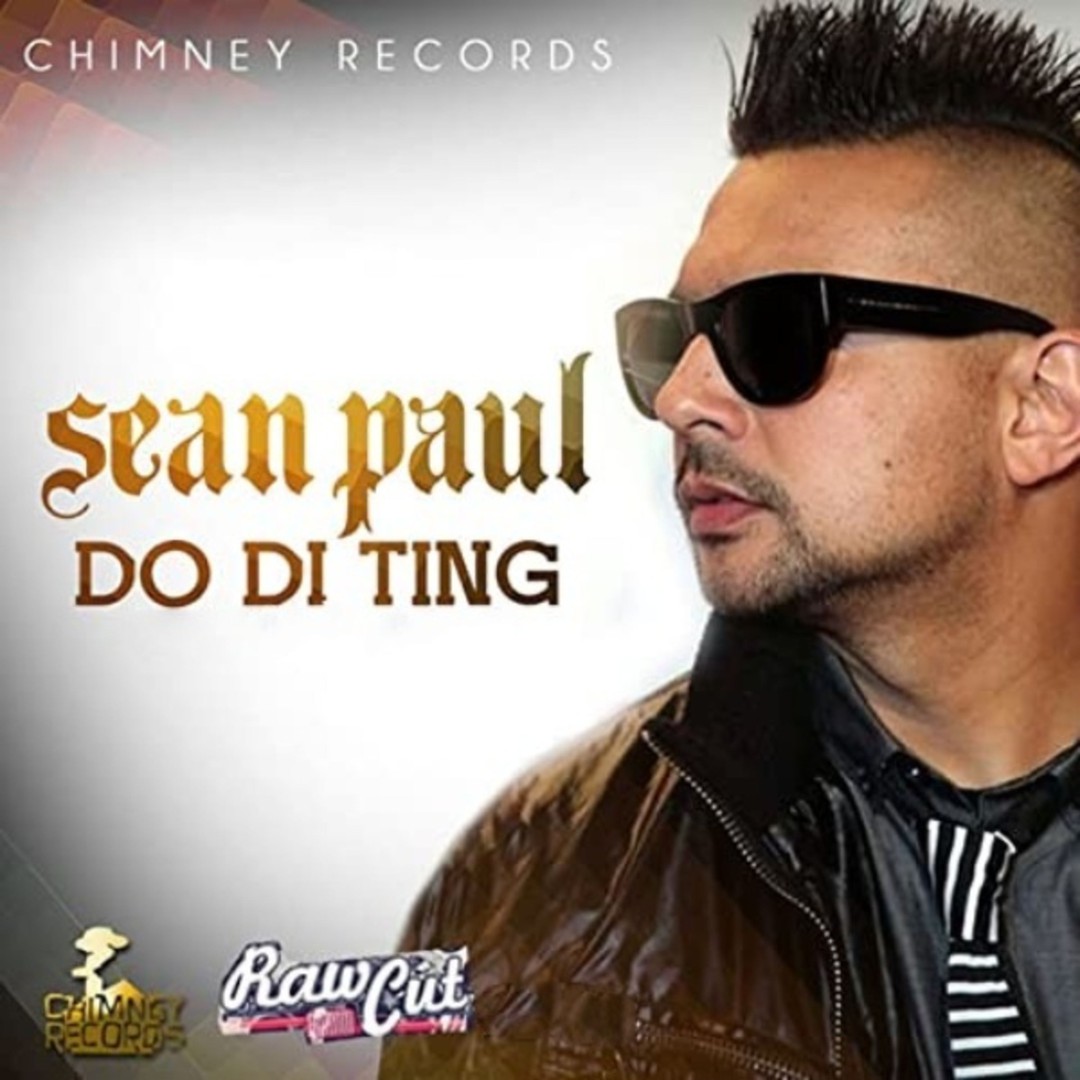 Won T Stop Turn Me Out By Sean Paul On Pandora Radio Songs Lyrics Won T Stop Turn Me Out By Sean Paul On Pandora Radio Songs Lyrics