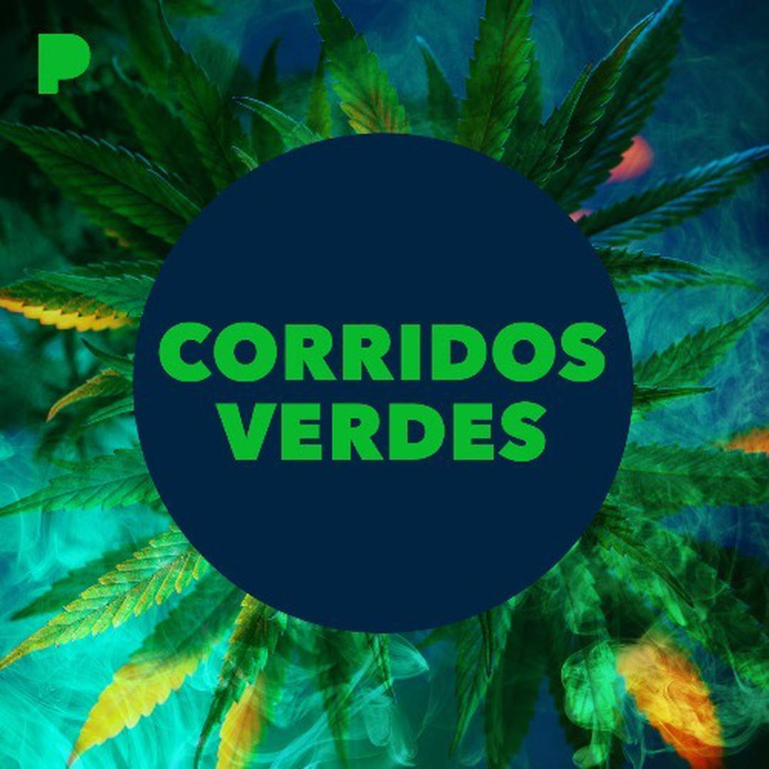 El Miles El Chapo Guzman  Song Download from Top 20 Corridos Pal Chapo  Guzman  JioSaavn