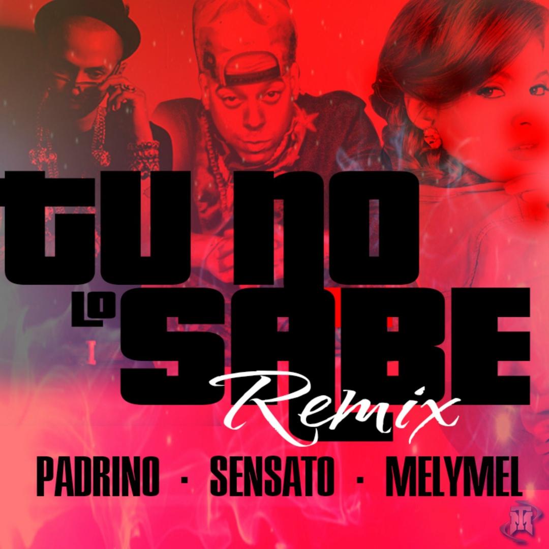 El Malo Feat Romeo Santos By Sensato Pandora